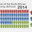The South African workforce shifts towards skilled jobs, but patterns still differ between race groups