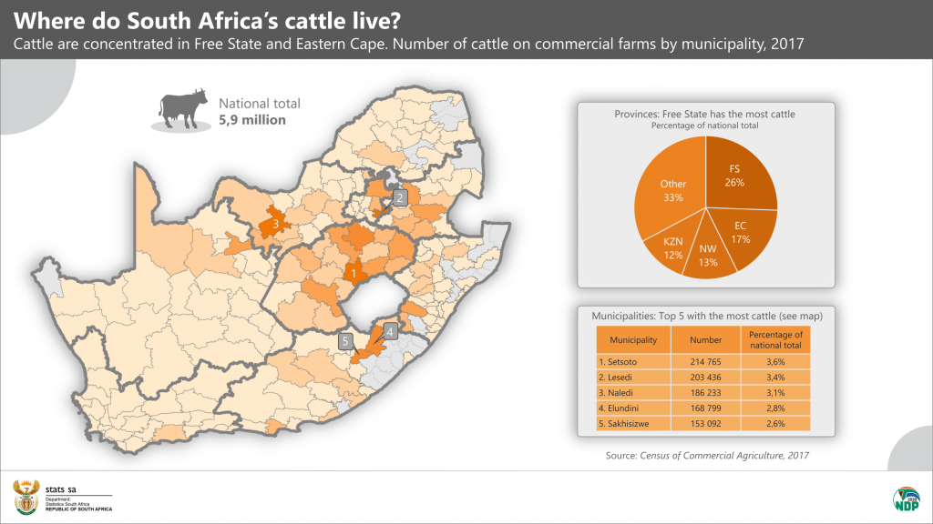 Footandmouth Where do the livestock live? Statistics South Africa