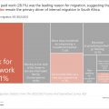 Work Drives Internal Migration: 28% Move for Paid Employment