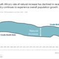 Population Growth in SA Remains Steady as Fertility Declines