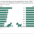 International Dog Day: Who are South Africa’s biggest dog lovers?