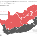 What the numbers reveal about heart health in South Africa